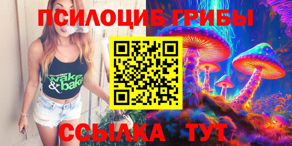 Псилоцибиновые грибы Psilocybine cubensis Коркино