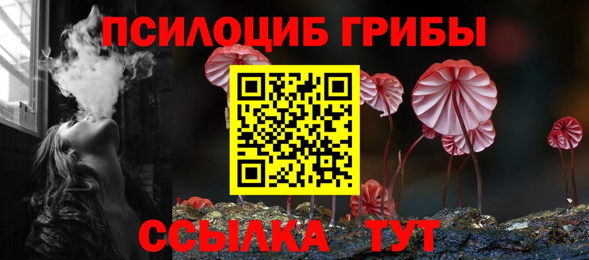 Псилоцибиновые грибы мицелий  Вход с VPN  Коркино 